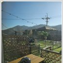 베일리애견풀빌라펜션 | 가평애견동반펜션에서의 힐링 여행 : 베일리 애견 풀빌라 펜션 후기!