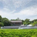 열명의농부채식당 이미지