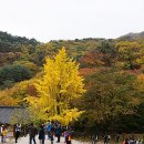용문산 이미지
