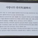 상림떡방앗간