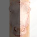 한우반마리 이미지