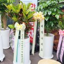 스터디카페목대점 | 개업화분 문구 추천! 재방문을 부르는 업종별 축하 멘트 모음