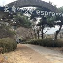 숲속의정원 | 태안 넓은 식당 화덕피자 브런치 숲속의정원 아기랑 후기