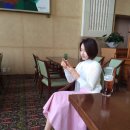 쟌트