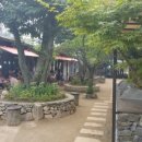 춘천숯불갈비 - 밀양시 | 춘천숯불갈비