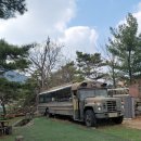 트리팜(TreeFarm)