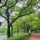 가인치과의원 네이버블로그