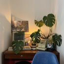 이마트24 수성3가점 | [서울/을지로] 을지로3가 카페 데이트 맛집 을지빈 방문 후기 | 을지로 빈티지 느좋 카페 강추