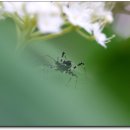 솔아한의원 이미지