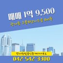 주공4단지 공인중개사사무소 | 관저한빛공인중개사사무소 구봉8단지주공 801동 매매 1억 9,500