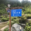 갈기산 포레스트 힐 이미지