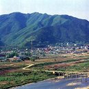 용대황토민박 이미지