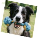 미나애견 이미지