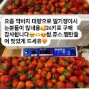 청용농장2 네이버블로그
