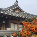 세계문화유산 경주 양동마을 다녀왔어요~