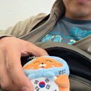 강치 | 독도굿즈 추천, 아이와 함께하는 의미있는 선물 “독도강치 한국이 자석키링” 후기