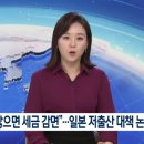 일본 사실상 싱글세 도입 확실시...'N분의 N승'방식 도입 이미지