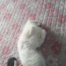 지에스(GS)25 경산중앙로점 | [경산 모녀여행] 있을 건 다 있는, 뚜벅이 힐링 여행하기 좋은 경산 가볼만한곳