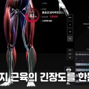 블로썸 핏 이미지