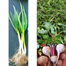 다래농원 이미지