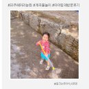 헤이리농장 | 파주 헤이리농원 피크닉 아이랑 계곡 물놀이 2년째 재방문 솔직 후기