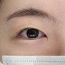 이룸디자인 - 아산시 번영로 53 | 쌍촌동속눈썹 추천! 자연스러운 컬과 유지력까지 만족한 브로우이룸 속눈썹펌 후기