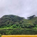 도림민박 이미지