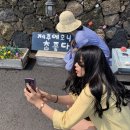 안성리 | 제주도 여행 : 판포포구 &amp; 안성리수국길 &amp; 해월정 후기 ★