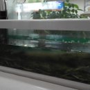 명가네남원추어탕 이미지