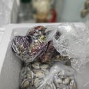 세븐일레븐 보성벌교터미널점 이미지