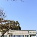 서산 애견 동반과 애기와 함께 오기 좋은 서산 카페 포레담 후기