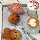 [압구정] 외국온줄 느좋 로데오 카페 빠니드 엠 무니🎀
