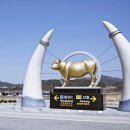 동횡성농업협동조합 이미지