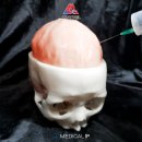 일관메디컬 이미지