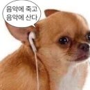 이즈케이