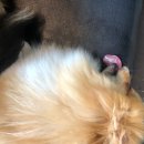 견우농장 이미지