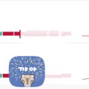 용인대 양천유도관 이미지