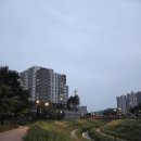 놀소랑 | 청약 당첨 아파트 1층 4년 실거주 매도 후기 (2021~2025)