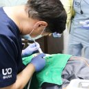 유디계산치과의원 네이버블로그