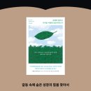 데일먼트