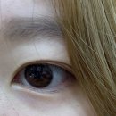 부산 동래역 속눈썹펌 | 깔끔한 컬 맛집 제이유뷰티 후기