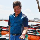 완도19호 이미지