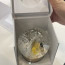 (주)샤넬무역 이미지