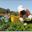 고흥군유통(주)