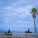 승마공원 | 제주 서귀포 중문 가볼만한 곳 승마 체험 중문승마공원 후기