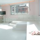 웰컴댕댕 이미지