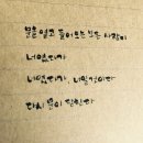 01.캘리_나의 봄은 원래 그런게 아니었다 이미지