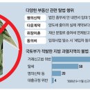 평범한 실수요자가 다운계약..은퇴부부는 위장이혼까지 이미지