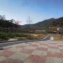 새터농로 이미지