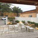 다원피자 이미지